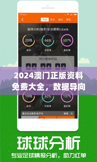 2024今晚澳门开大众网,深入数据执行应用_入门版2.462