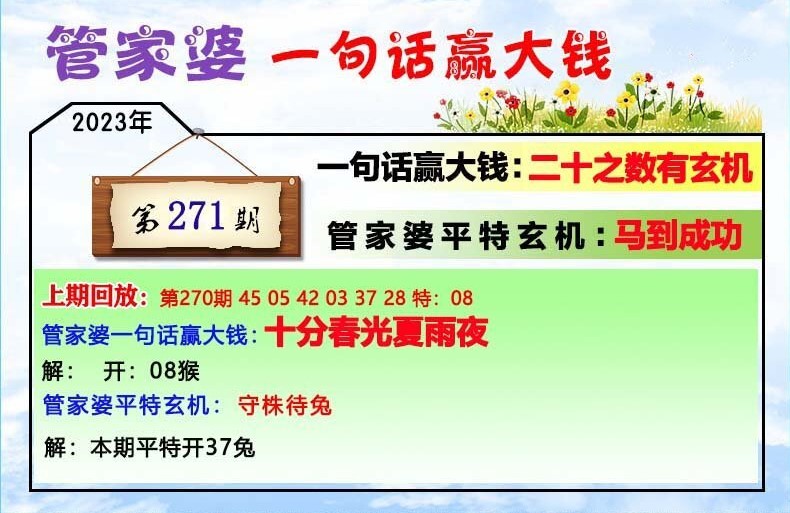 2024年11月16日 第38页