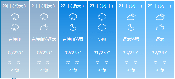 2024年12月6日 第14页