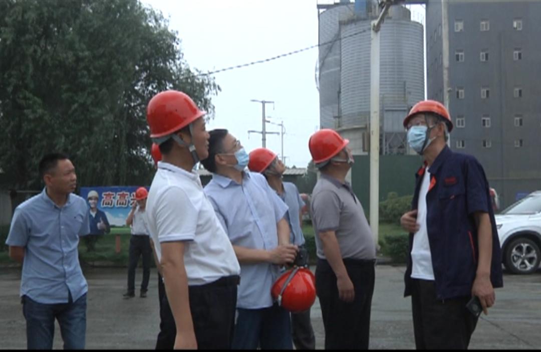 平桥区统计局领导团队最新阵容，引领与担当